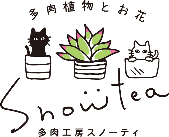 loader image
